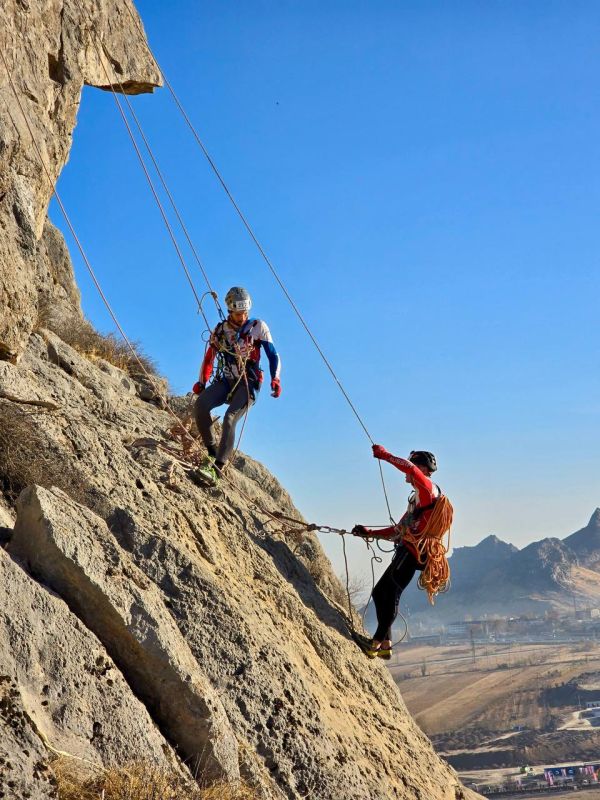 ������ ���������: ��������������� ���������� � ������� ������� ������ ��������� 12 ������� �� ����� ���� �� ����������� ������� �� ������ ����������