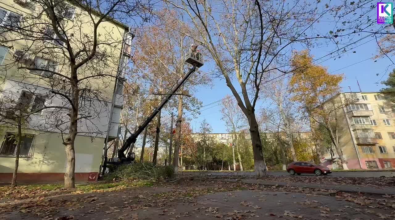 Служба городского хозяйства Керчи продолжает регулярные работы по уходу за растениями