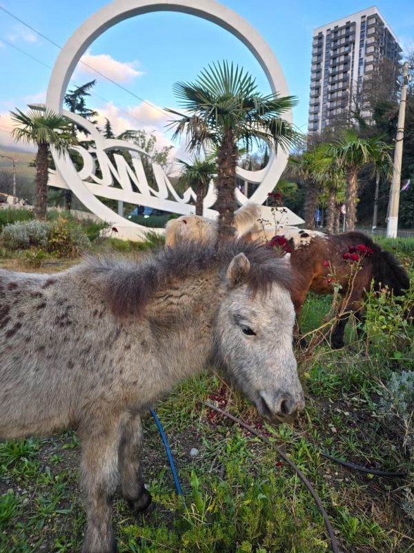 ����� ��������: ��� ����� �������� ������� ���� �� �������������� ������������ �������, ����� ��������� �� ������ � ���� �� ��������� ������ ����� ���������� ����������� � ��� ������ �����