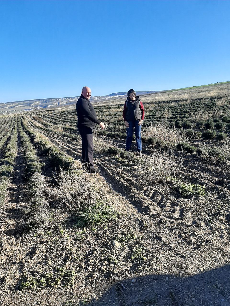 Специалисты Управления растениеводства совместно с участником программы «Герои Крыма» Андреем Зыряновым посетили передовые фермерские хозяйства Специалисты Управления растениеводства совместно с участником программы «Герои Крыма» Андреем Зыряновым посетили передовые фермерские хозяйства