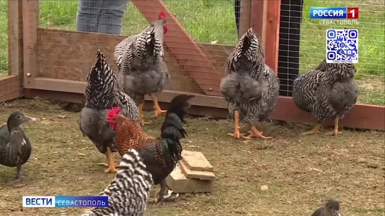 Весь наш утренний выпуск смотрите ЗДЕСЬ