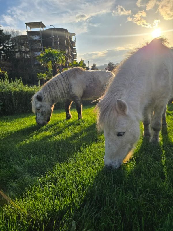 ����� ��������: ��� ����� �������� ������� ���� �� �������������� ������������ �������, ����� ��������� �� ������ � ���� �� ��������� ������ ����� ���������� ����������� � ��� ������ �����