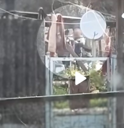 В Белогорском районе сотрудники полиции проводят проверку по факту жестокого обращения с животными