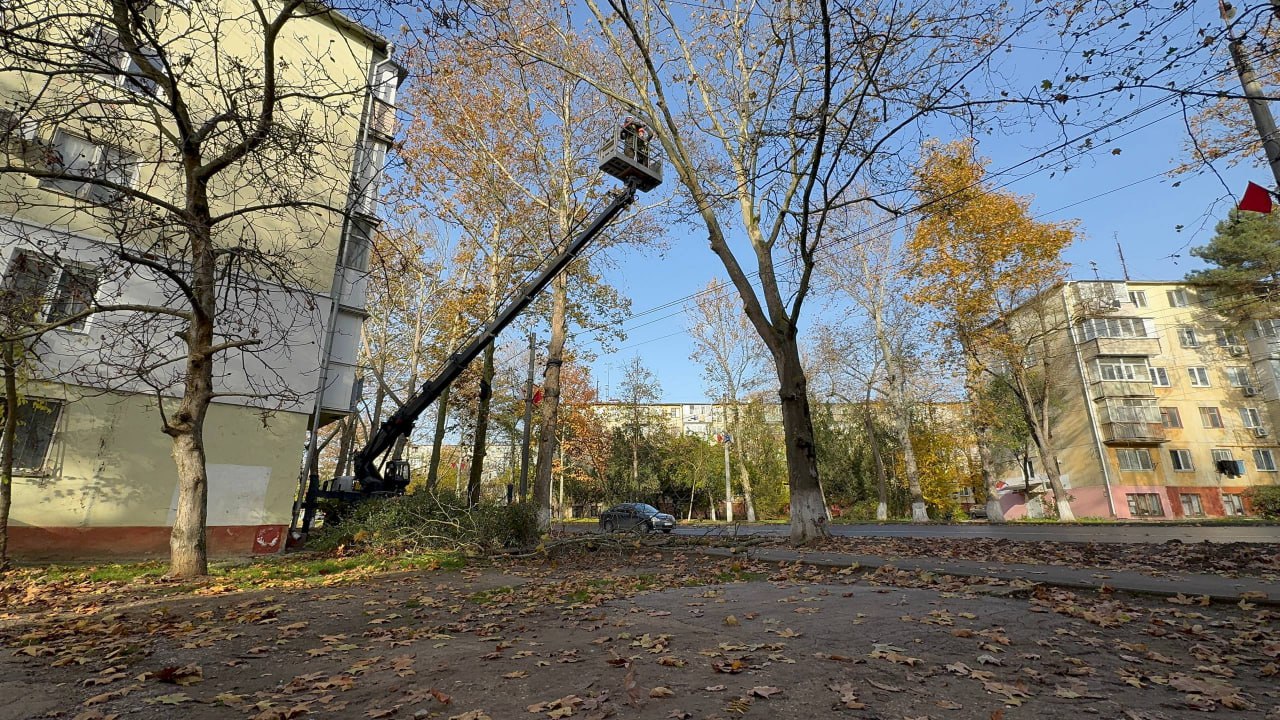 Служба городского хозяйства Керчи продолжает регулярные работы по уходу за растениями Служба городского хозяйства Керчи продолжает регулярные работы по уходу за растениями