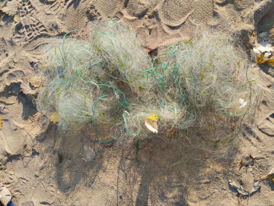 � ��� ������������ ����������� �������� ���� ������������� �� ��������� ��������� ����