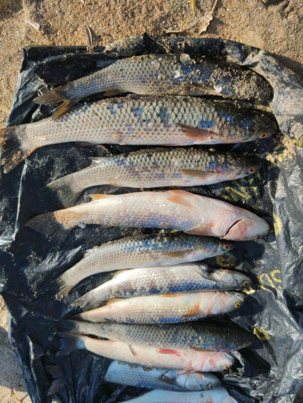 � ��� ������������ ����������� �������� ���� ������������� �� ��������� ��������� ����