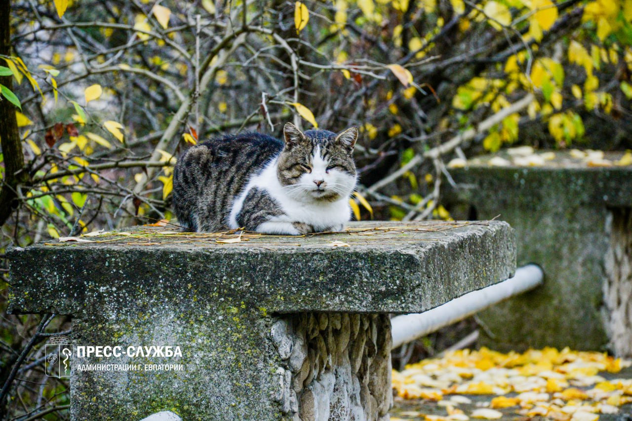 Холода откладываются: к концу недели в Крыму потеплеет до +22