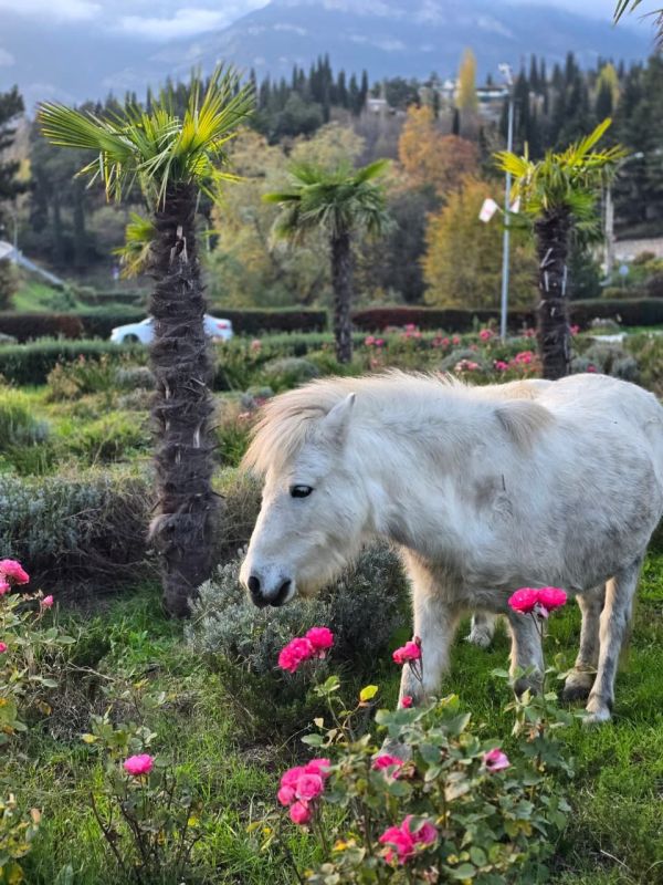 ����� ��������: ��� ����� �������� ������� ���� �� �������������� ������������ �������, ����� ��������� �� ������ � ���� �� ��������� ������ ����� ���������� ����������� � ��� ������ �����