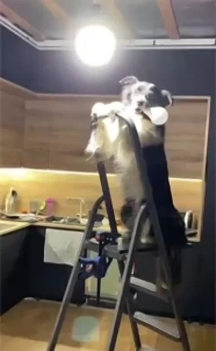 ����� ��� ������������ ������ ����������