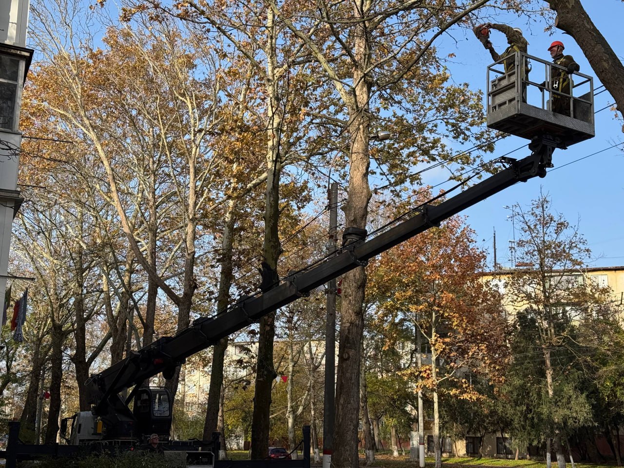 Служба городского хозяйства Керчи продолжает регулярные работы по уходу за растениями Служба городского хозяйства Керчи продолжает регулярные работы по уходу за растениями