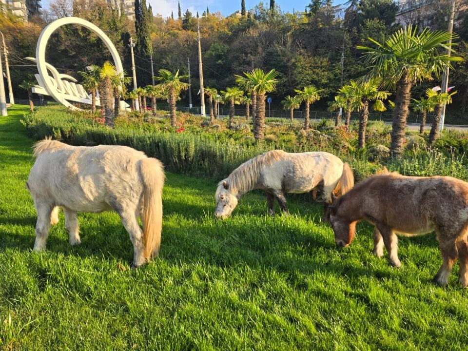 ����� ��������: ��� ����� �������� ������� ���� �� �������������� ������������ �������, ����� ��������� �� ������ � ���� �� ��������� ������ ����� ���������� ����������� � ��� ������ �����