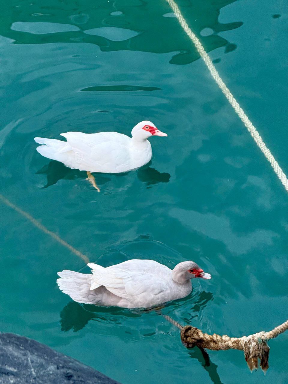 Янина Павленко: С добрым утром, любимый город До Нового года всего 44 дня! Совсем не верится, правда? Ещё столько ярких красок не растратила осень Любуемся красотой, друзья Янина Павленко: С добрым утром, любимый город До Нового года всего 44 дня! Совсем не верится, правда? Ещё столько ярких красок не растратила осень Любуемся красотой, друзья