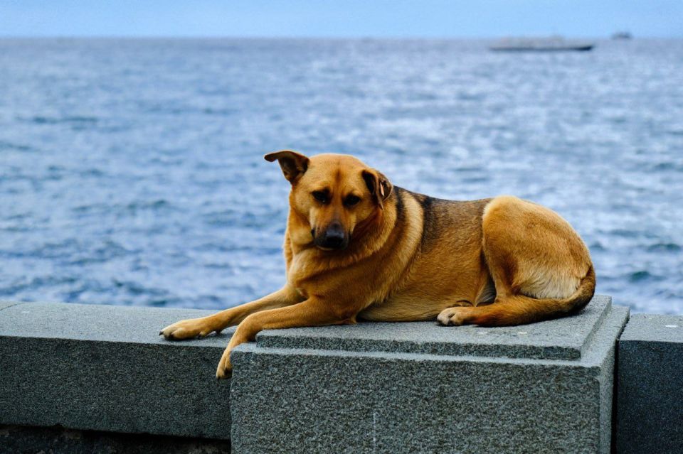 Янина Павленко: С добрым утром, любимый город До Нового года всего 44 дня! Совсем не верится, правда? Ещё столько ярких красок не растратила осень Любуемся красотой, друзья Янина Павленко: С добрым утром, любимый город До Нового года всего 44 дня! Совсем не верится, правда? Ещё столько ярких красок не растратила осень Любуемся красотой, друзья