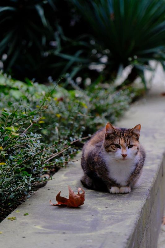 Янина Павленко: С добрым утром, любимый город До Нового года всего 44 дня! Совсем не верится, правда? Ещё столько ярких красок не растратила осень Любуемся красотой, друзья Янина Павленко: С добрым утром, любимый город До Нового года всего 44 дня! Совсем не верится, правда? Ещё столько ярких красок не растратила осень Любуемся красотой, друзья