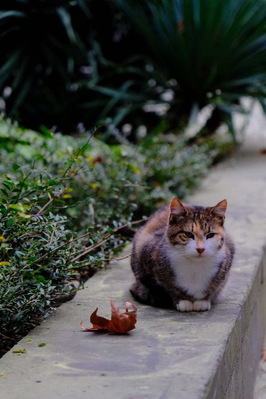 Янина Павленко: С добрым утром, любимый город До Нового года всего 44 дня! Совсем не верится, правда? Ещё столько ярких красок не растратила осень Любуемся красотой, друзья Янина Павленко: С добрым утром, любимый город До Нового года всего 44 дня! Совсем не верится, правда? Ещё столько ярких красок не растратила осень Любуемся красотой, друзья
