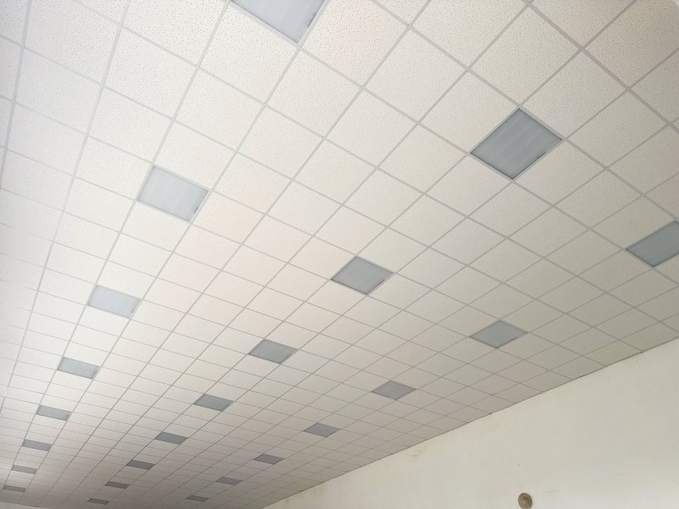 ��������� �������: � ���������� ���� ������ �� ��������������� ������������ ���������� ����� ��������� �����