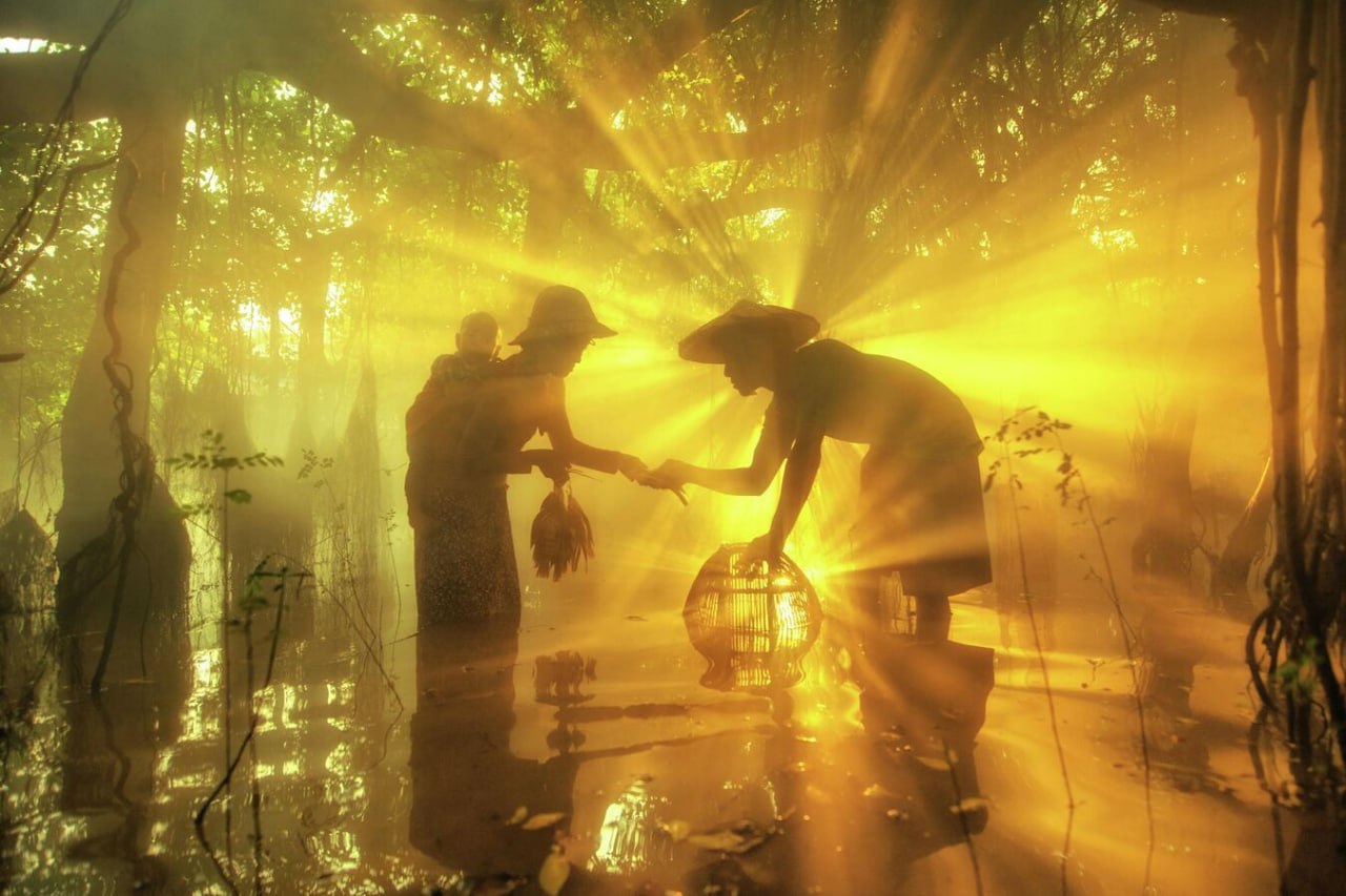 Названы победители XI Международного конкурса фотожурналистики имени Андрея Стенина Названы победители XI Международного конкурса фотожурналистики имени Андрея Стенина