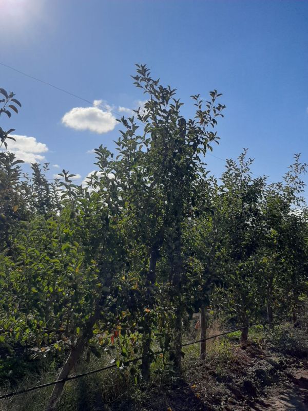 �������� ��� ������ ������� ����������� � ���������� �������� ���������� � ����� �����