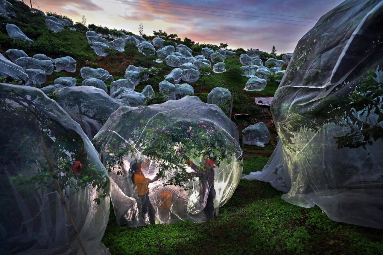 Названы победители XI Международного конкурса фотожурналистики имени Андрея Стенина Названы победители XI Международного конкурса фотожурналистики имени Андрея Стенина