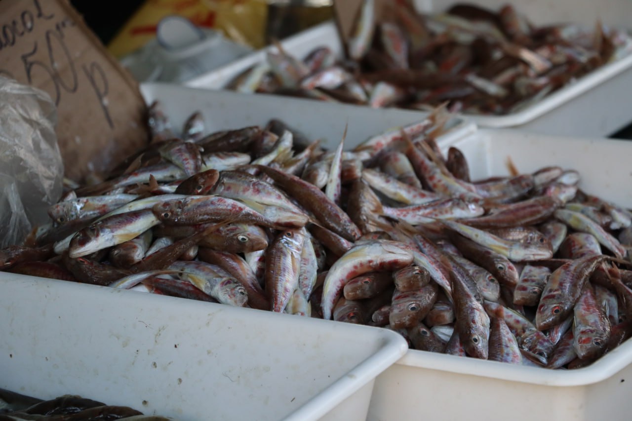 В Керчи продолжаются рейды по выявлению незаконной торговли В Керчи продолжаются рейды по выявлению незаконной торговли