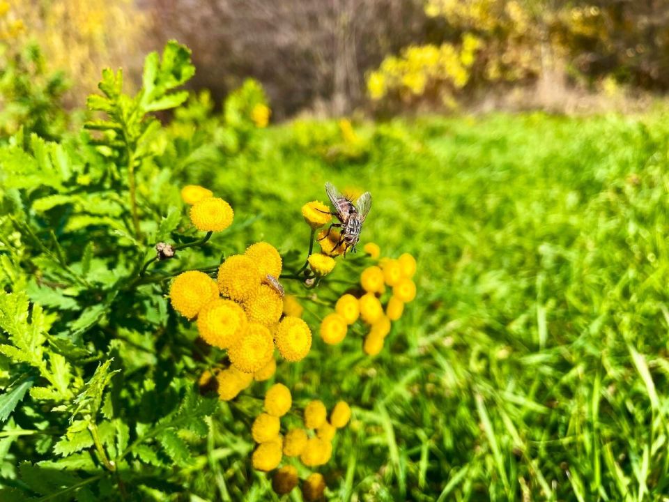 � ������ �����, �������!. ����� ��� ����������� ���� ���������� ��� ��������