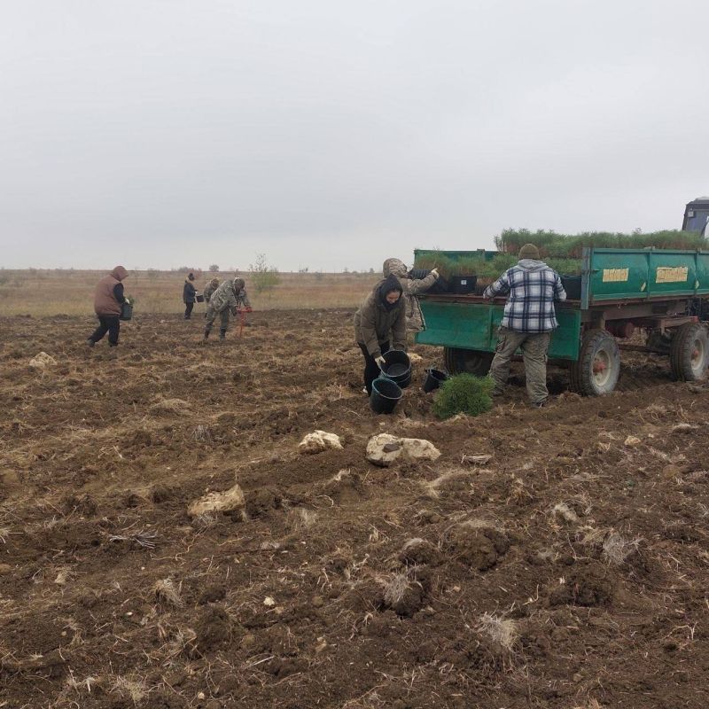 ����� �������: ����� ������ �������� ��������