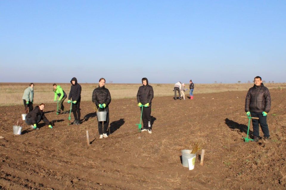 ����� �������: ����� ������ �������� ��������