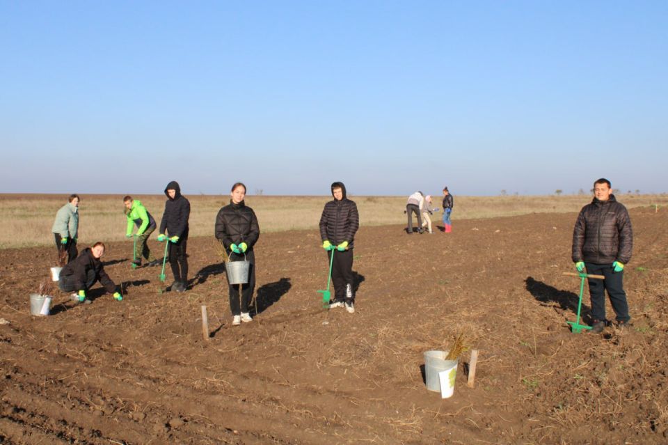 � ����� ������������ ������������� ����� ��������� ���