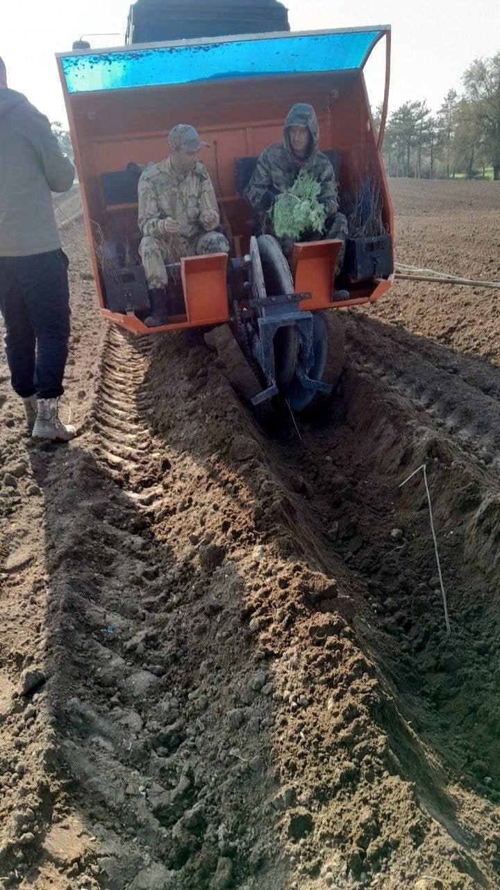Ольга Шевцова: Новый выпуск «Зеленых новостей» Ольга Шевцова: Новый выпуск «Зеленых новостей»