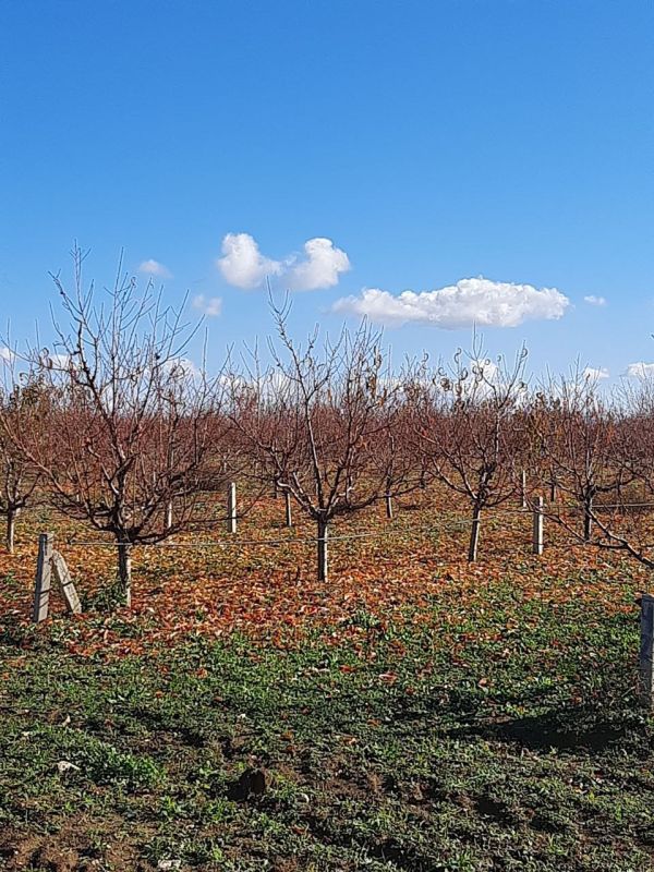 �������� ��� ������ ������� ����������� � ���������� �������� ���������� � ����� �����