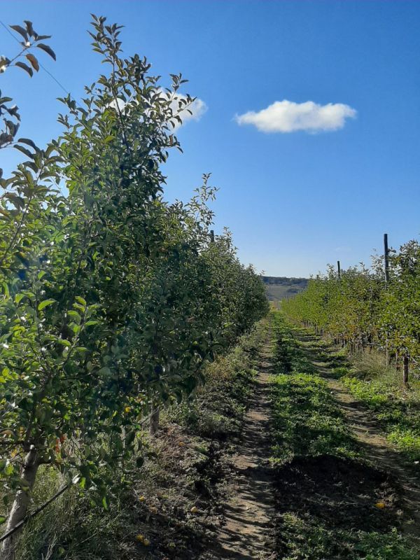 �������� ��� ������ ������� ����������� � ���������� �������� ���������� � ����� �����