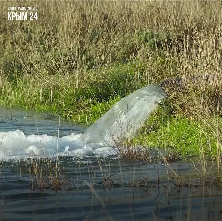 � ����������� ������ ������������ ������ �� ��������� �������� �������� ����