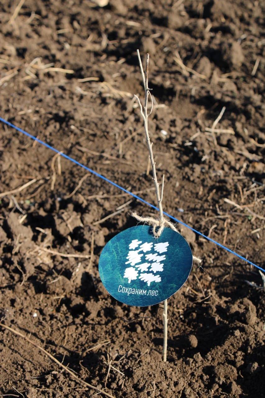 Ольга Шевцова: Новый выпуск «Зеленых новостей» Ольга Шевцова: Новый выпуск «Зеленых новостей»