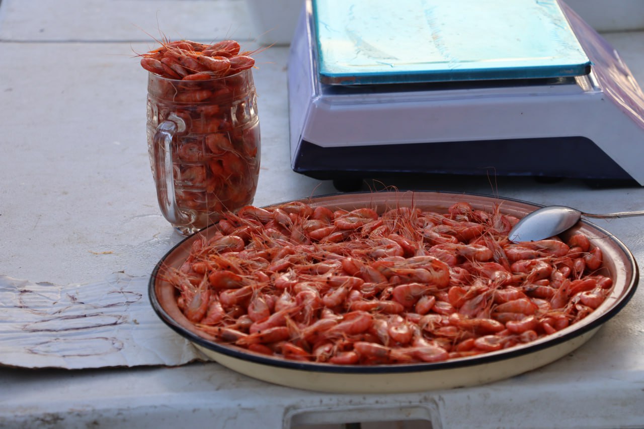 В Керчи продолжаются рейды по выявлению незаконной торговли В Керчи продолжаются рейды по выявлению незаконной торговли