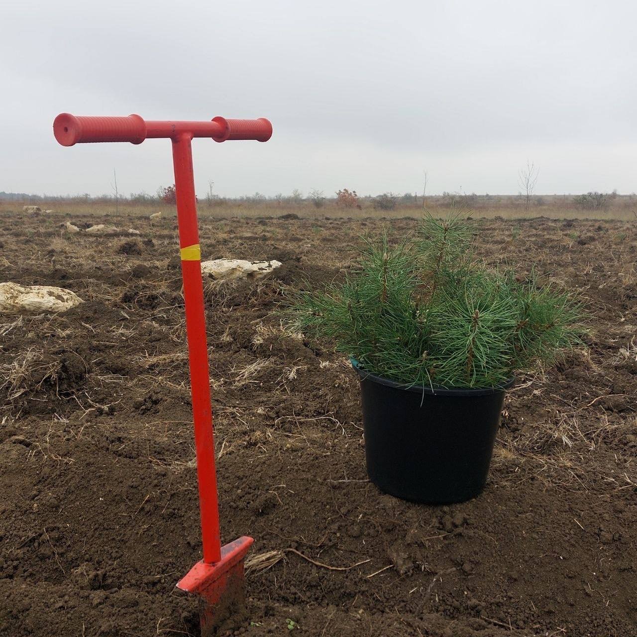 Ольга Шевцова: Новый выпуск «Зеленых новостей»