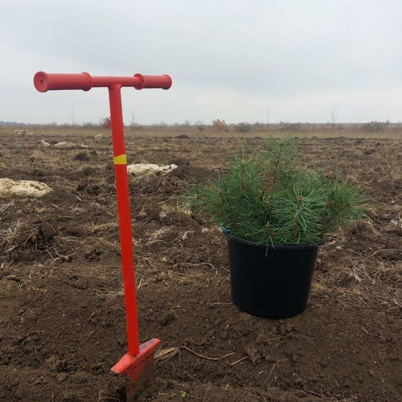 � ����� ������������ ������������� ����� ��������� ���