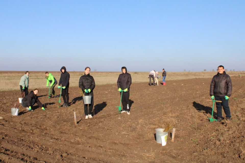 � ����� ������������ ������������� ����� ��������� ���