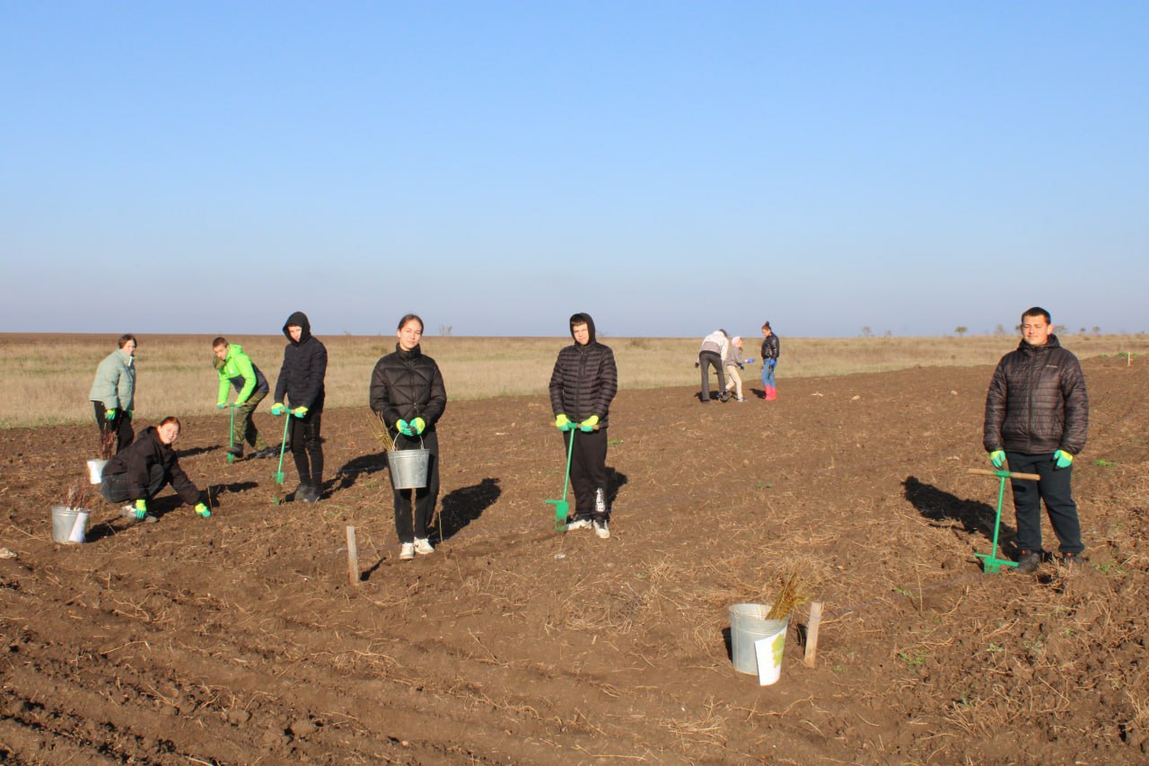В Крыму продолжается Всероссийская акция «Сохраним лес» В Крыму продолжается Всероссийская акция «Сохраним лес»
