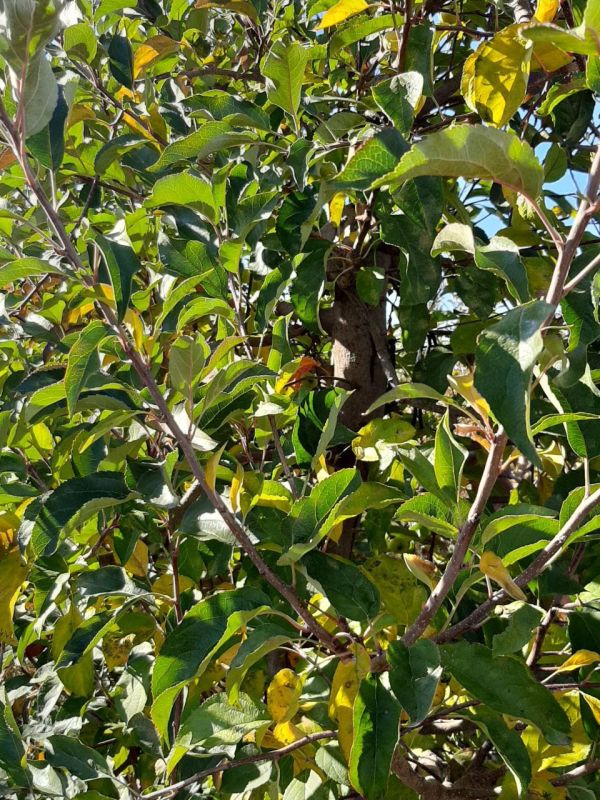 �������� ��� ������ ������� ����������� � ���������� �������� ���������� � ����� �����