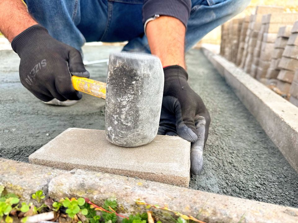 ��������� �������: � ���������� ���� ������ �� ��������������� ������������ ���������� ����� ��������� �����