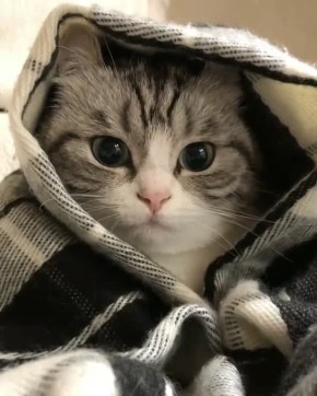 Сегодня в Крыму и Севастополе ожидается штормовой ветер