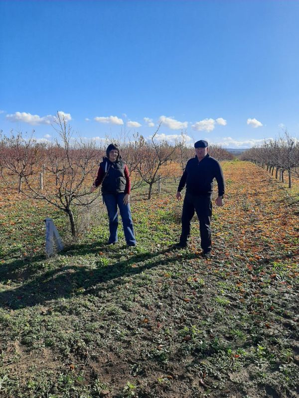 �������� ��� ������ ������� ����������� � ���������� �������� ���������� � ����� �����