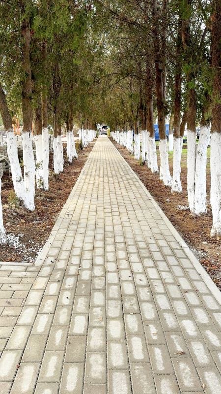 ��������� �������: �� ����� ����� ���� � �������, � ������ ��������� ���� ��������, ����� ������������� ����� 1700 ���������� ����� ����������