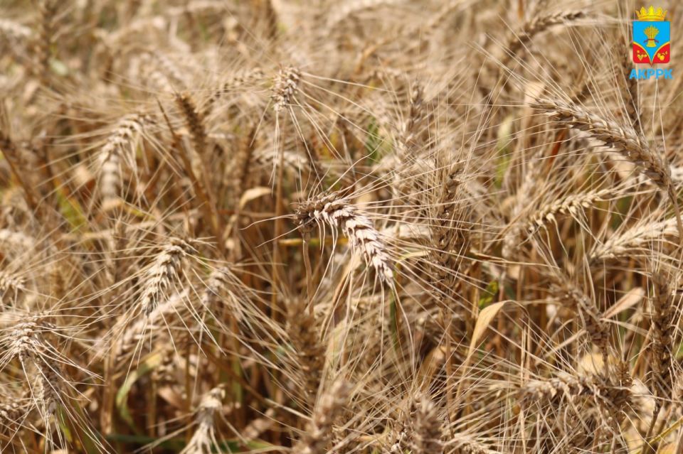 ������� ��������: � ���� ���� ���� ������� ����� �������� ������� ������� ���������������� � ���������������, ������������ ���� �� ���� ������ �������! ��� �������� ����� ������� ����������� ������ ������ � ����� ����...