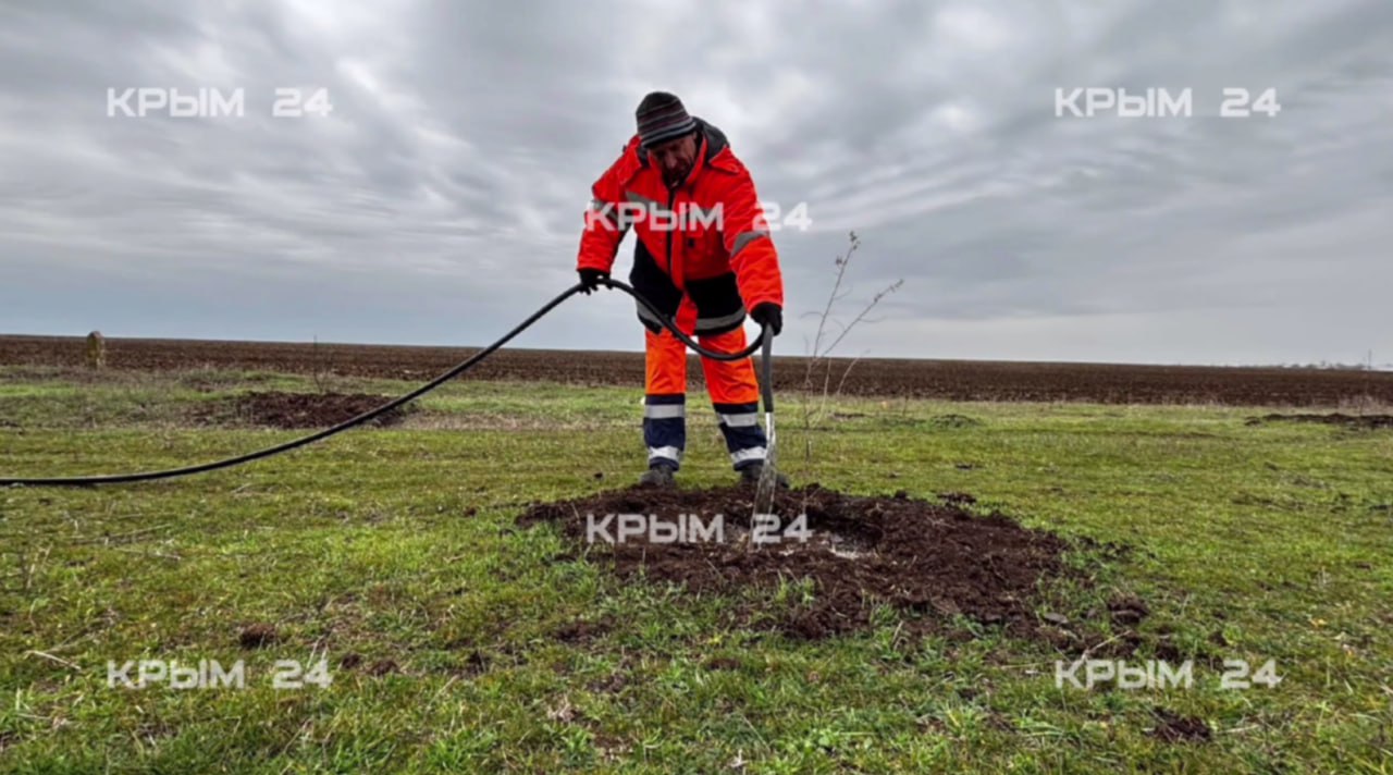 В Крыму продолжаются масштабные работы по озеленению обочин автодорог В Крыму продолжаются масштабные работы по озеленению обочин автодорог