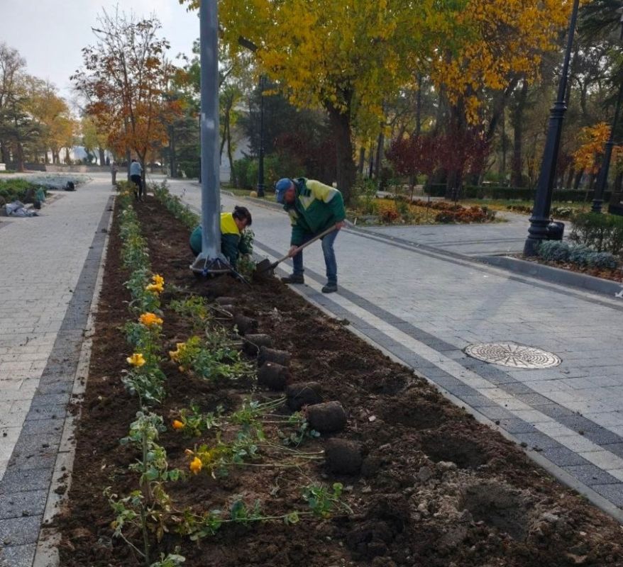 � �������� ������������ ������� ������� ��������