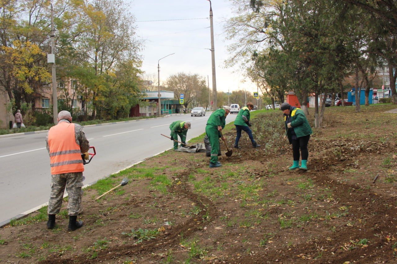 Владимир Ким: Этой осенью Феодосию украсят ещё около 2тысяч кустарников роз Владимир Ким: Этой осенью Феодосию украсят ещё около 2тысяч кустарников роз