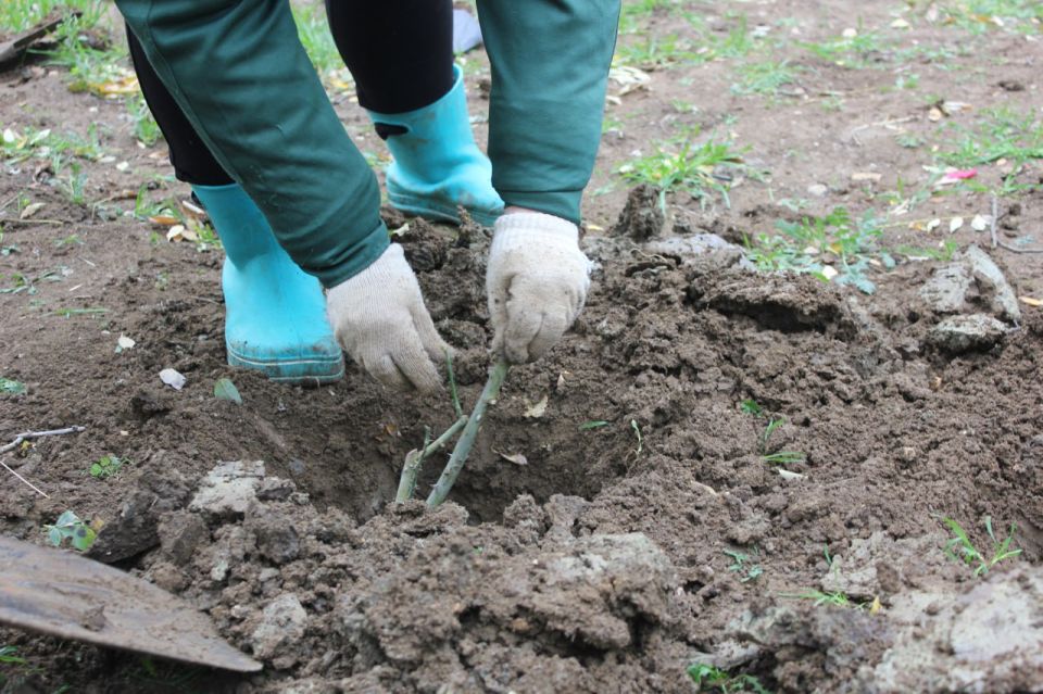 �������� ���: ���� ������ �������� ������� ��� ����� 2����� ����������� ���