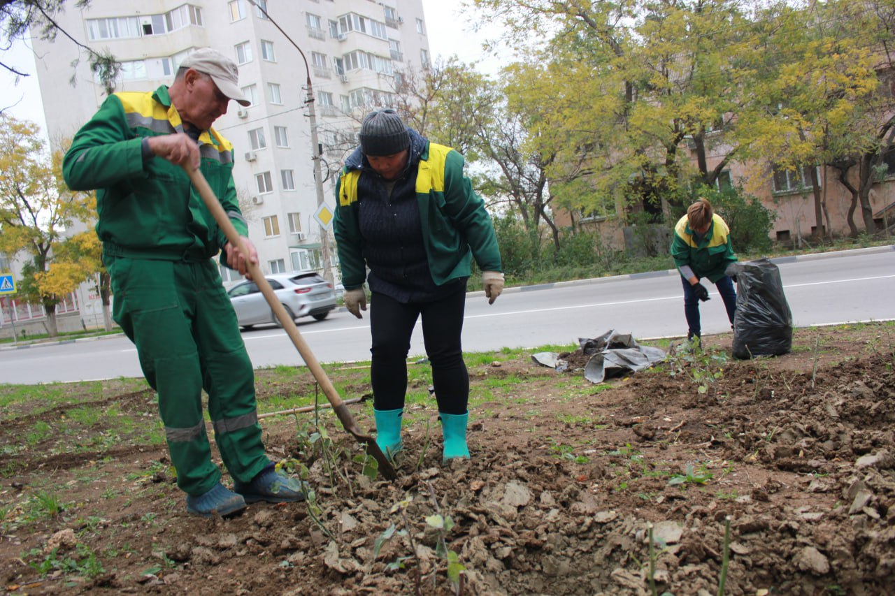 Владимир Ким: Этой осенью Феодосию украсят ещё около 2тысяч кустарников роз Владимир Ким: Этой осенью Феодосию украсят ещё около 2тысяч кустарников роз