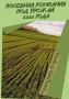 Сельскохозяйственными предприятиями района на сегодняшний день посеяно 98% запланированных озимых культур, что составляет впечатляющие 24 992 гектаров